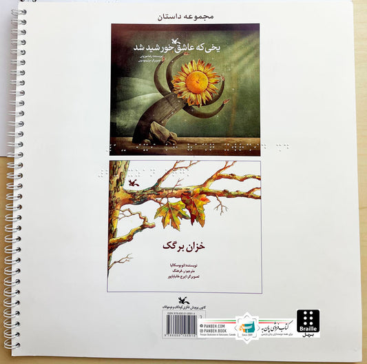 Ice that fall in love with the sun - Braille
یخی که عاشق خورشید شد - ویژه نابینایان