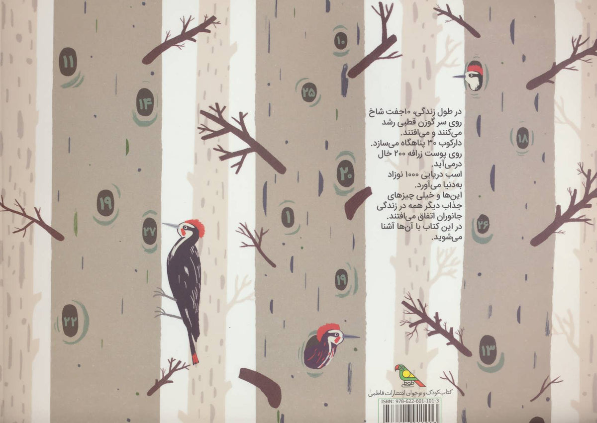 Lifetime: The Amazing Numbers in Animal Lives اعداد شگفت انگیز در زندگی جانوران