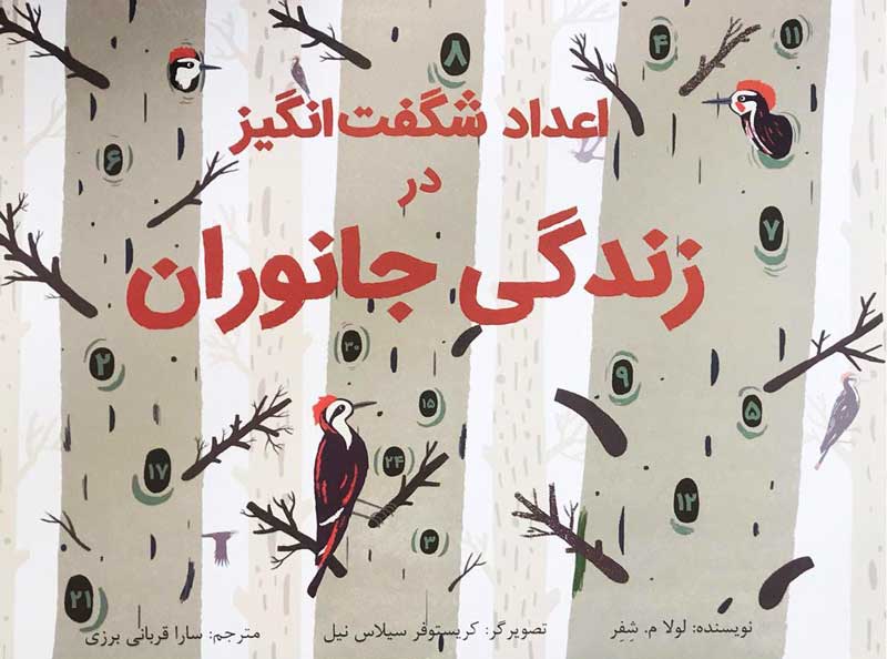 Lifetime: The Amazing Numbers in Animal Lives اعداد شگفت انگیز در زندگی جانوران